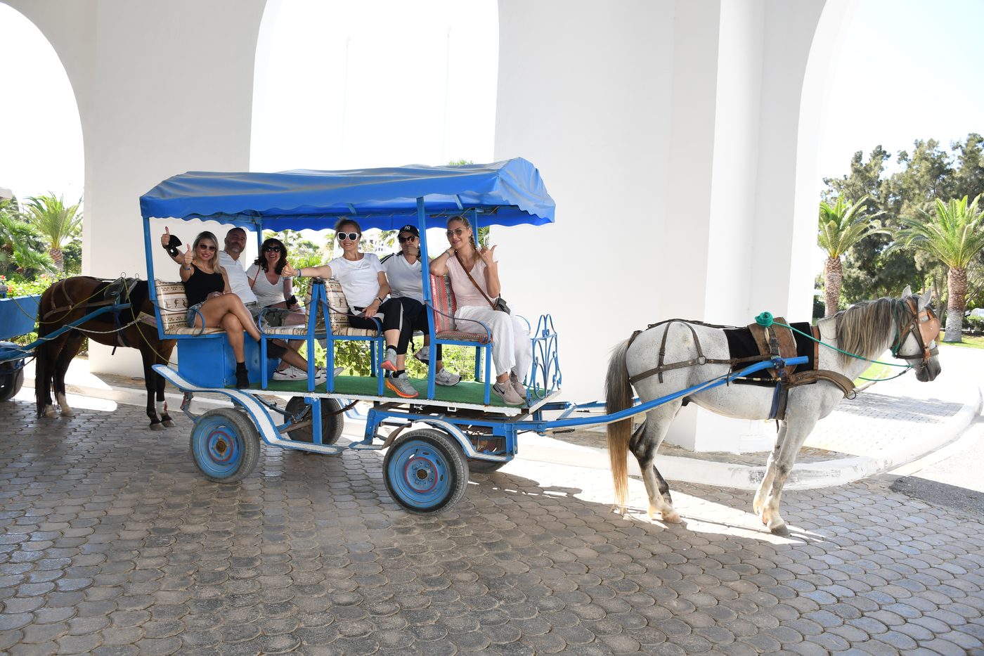 The blue cart ride · Kelibia